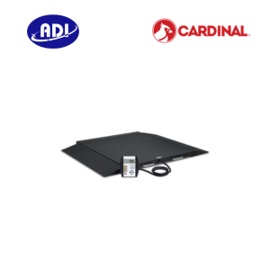 Cân xe lăn di động 6400