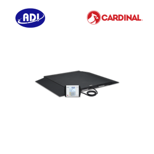 Cân xe lăn di động 6500