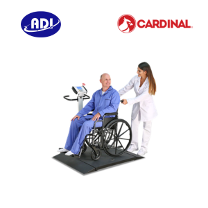 Cân xe lăn di động 6550
